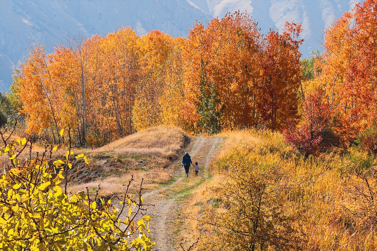 Hakkari'deki Konak köyü sonbaharda ziyaretçilerine farklı bir atmosfer sunuyor